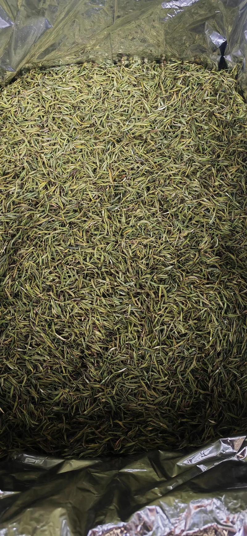 普洱茶与绿茶的区别:从风味到历史的不同旅程