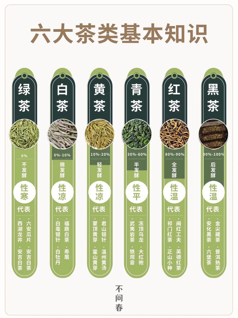 普洱茶属于绿茶吗?普洱茶的独特之处揭秘