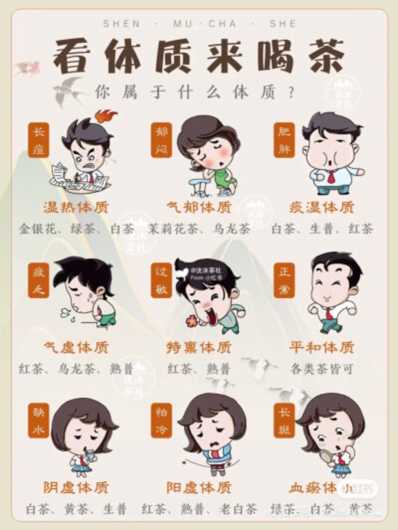 普洱茶与绿茶的区别:探秘生普洱是否属于绿茶的争议