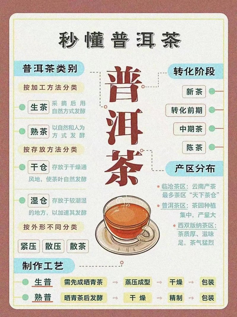 普洱茶属于绿茶吗？一探究竟